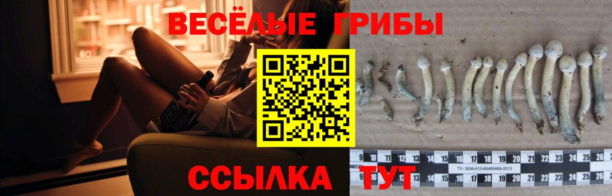 Валуйки  закладки  Вход с VPN  Псилоцибиновые грибы Cubensis  Галлюциногенные грибы Psilocybine cubensis 